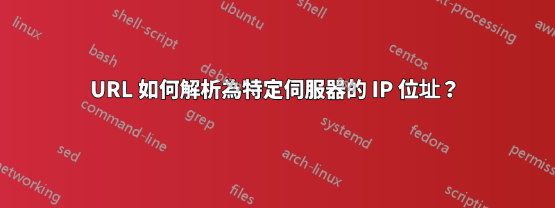 URL 如何解析為特定伺服器的 IP 位址？