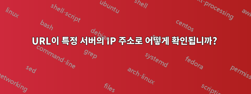 URL이 특정 서버의 IP 주소로 어떻게 확인됩니까?