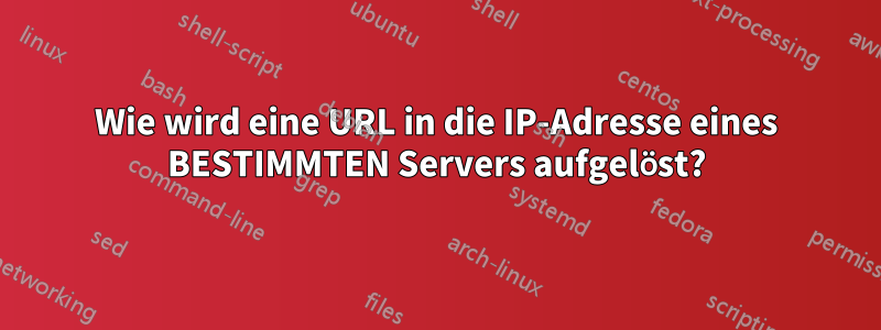 Wie wird eine URL in die IP-Adresse eines BESTIMMTEN Servers aufgelöst?