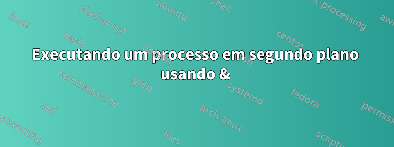 Executando um processo em segundo plano usando &