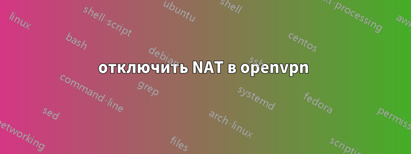 отключить NAT в openvpn