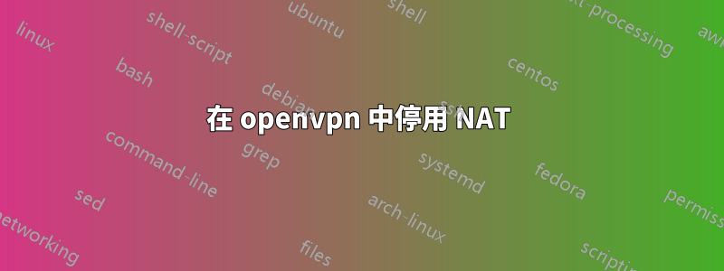 在 openvpn 中停用 NAT