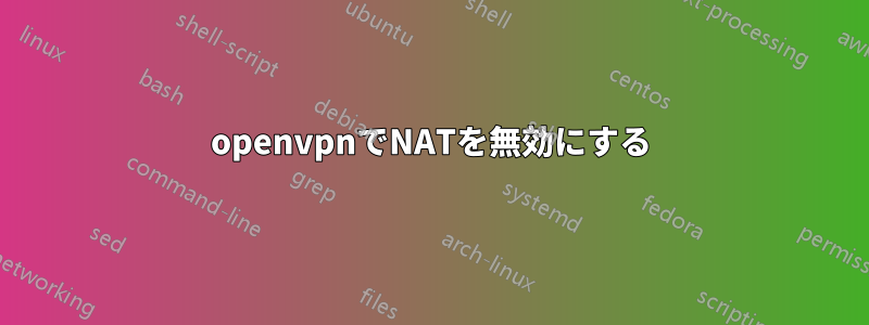 openvpnでNATを無効にする