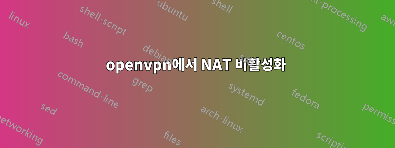 openvpn에서 NAT 비활성화