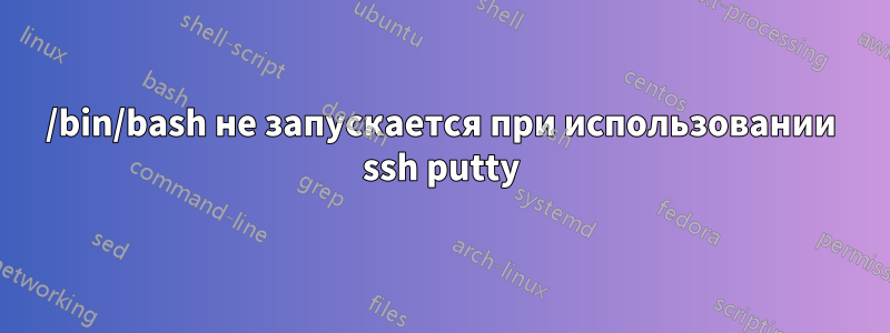 /bin/bash не запускается при использовании ssh putty