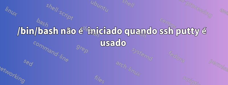 /bin/bash não é iniciado quando ssh putty é usado