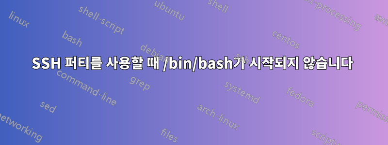 SSH 퍼티를 사용할 때 /bin/bash가 시작되지 않습니다