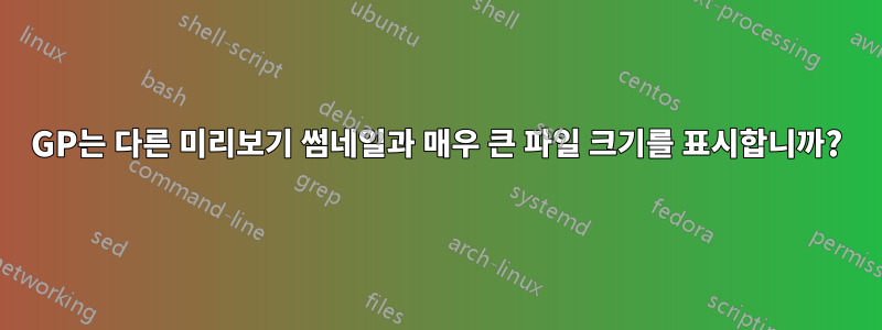 3GP는 다른 미리보기 썸네일과 매우 큰 파일 크기를 표시합니까?