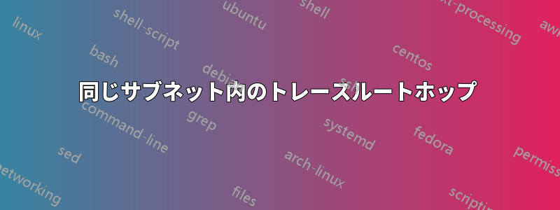 同じサブネット内のトレースルートホップ