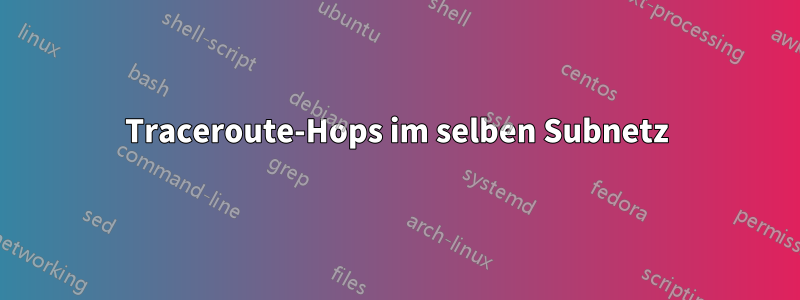 Traceroute-Hops im selben Subnetz