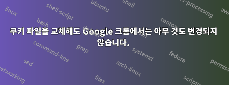 쿠키 파일을 교체해도 Google 크롬에서는 아무 것도 변경되지 않습니다.