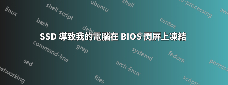 SSD 導致我的電腦在 BIOS 閃屏上凍結