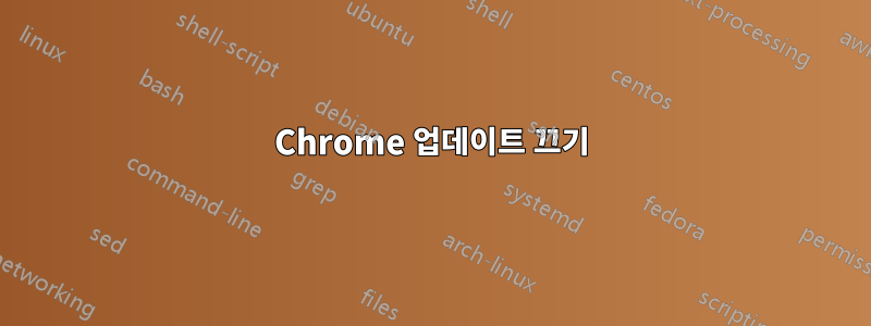 Chrome 업데이트 끄기