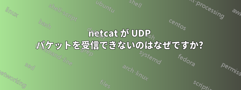 netcat が UDP パケットを受信できないのはなぜですか?