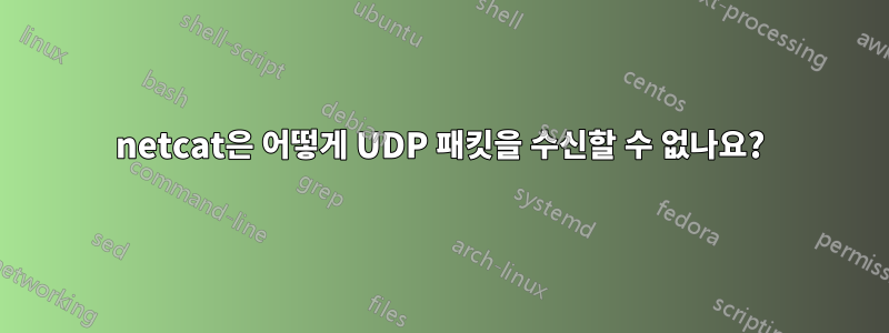 netcat은 어떻게 UDP 패킷을 수신할 수 없나요?