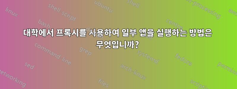 대학에서 프록시를 사용하여 일부 앱을 실행하는 방법은 무엇입니까?