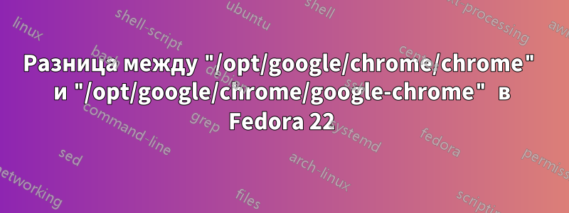 Разница между "/opt/google/chrome/chrome" и "/opt/google/chrome/google-chrome" в Fedora 22