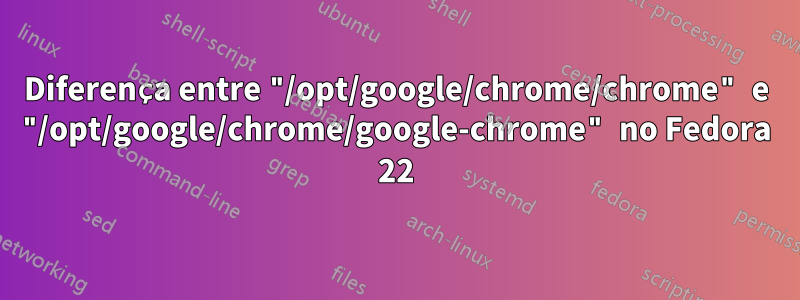 Diferença entre "/opt/google/chrome/chrome" e "/opt/google/chrome/google-chrome" no Fedora 22