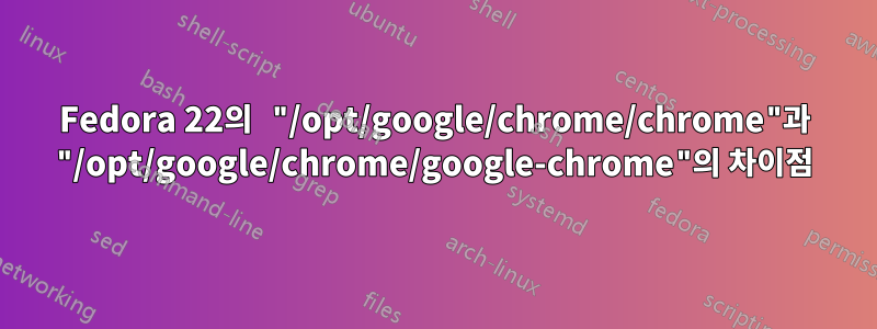 Fedora 22의 "/opt/google/chrome/chrome"과 "/opt/google/chrome/google-chrome"의 차이점