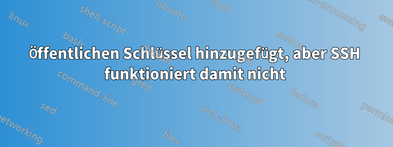 Öffentlichen Schlüssel hinzugefügt, aber SSH funktioniert damit nicht