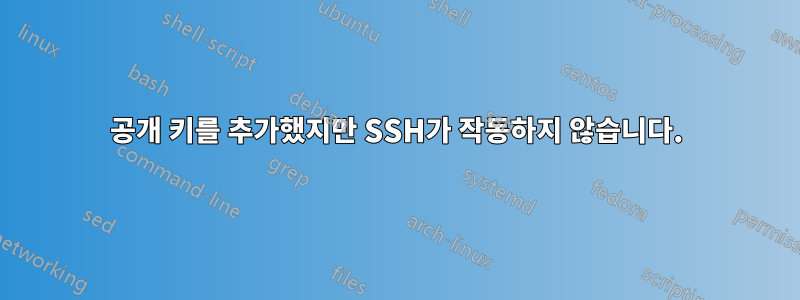 공개 키를 추가했지만 SSH가 작동하지 않습니다.