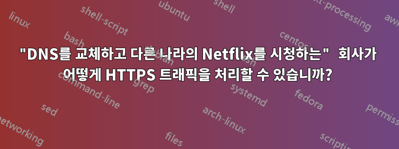 "DNS를 교체하고 다른 나라의 Netflix를 시청하는" 회사가 어떻게 HTTPS 트래픽을 처리할 수 있습니까?