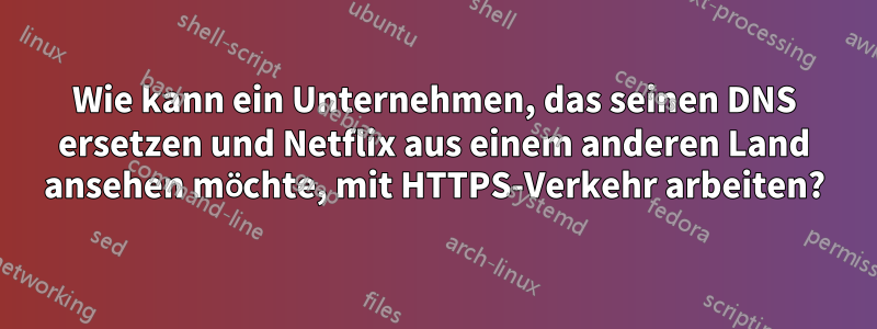 Wie kann ein Unternehmen, das seinen DNS ersetzen und Netflix aus einem anderen Land ansehen möchte, mit HTTPS-Verkehr arbeiten?