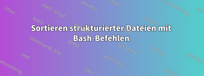 Sortieren strukturierter Dateien mit Bash-Befehlen