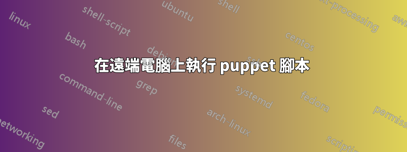 在遠端電腦上執行 puppet 腳本
