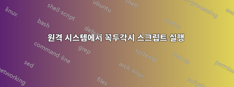 원격 시스템에서 꼭두각시 스크립트 실행