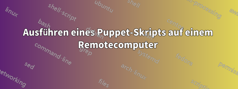 Ausführen eines Puppet-Skripts auf einem Remotecomputer