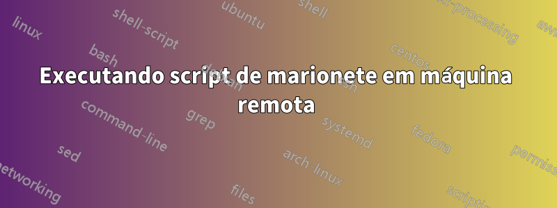 Executando script de marionete em máquina remota