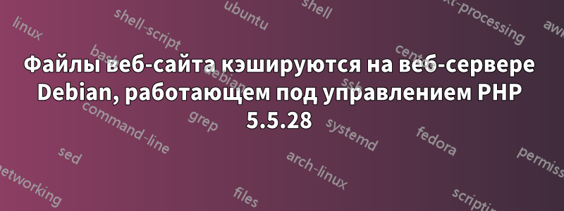 Файлы веб-сайта кэшируются на веб-сервере Debian, работающем под управлением PHP 5.5.28