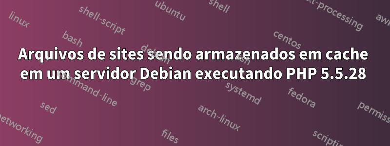Arquivos de sites sendo armazenados em cache em um servidor Debian executando PHP 5.5.28