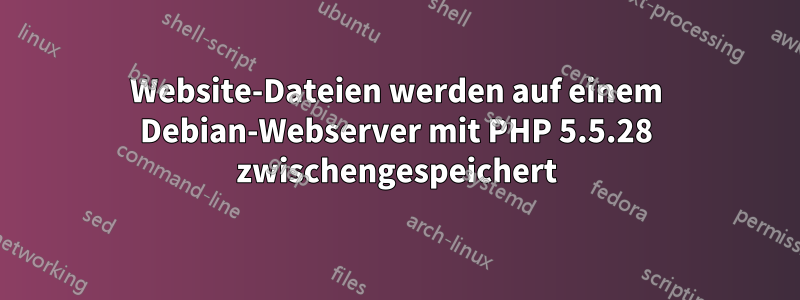 Website-Dateien werden auf einem Debian-Webserver mit PHP 5.5.28 zwischengespeichert