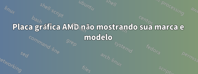 Placa gráfica AMD não mostrando sua marca e modelo