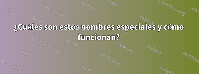 ¿Cuáles son estos nombres especiales y cómo funcionan?