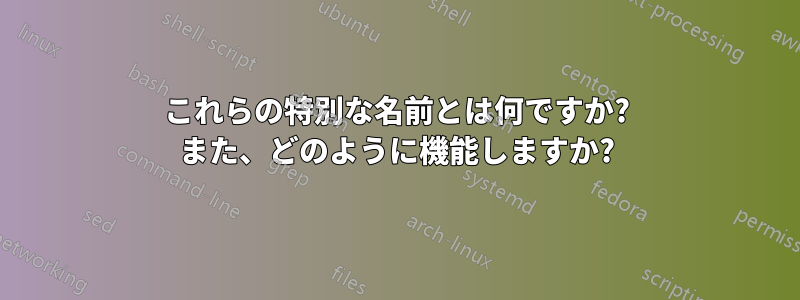 これらの特別な名前とは何ですか? また、どのように機能しますか?