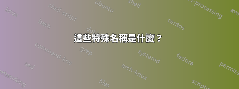 這些特殊名稱是什麼？
