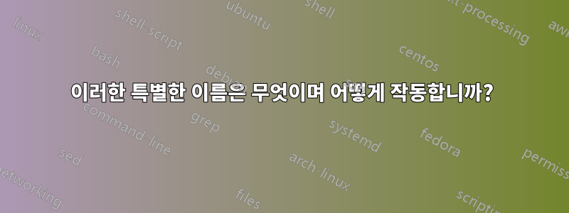이러한 특별한 이름은 무엇이며 어떻게 작동합니까?