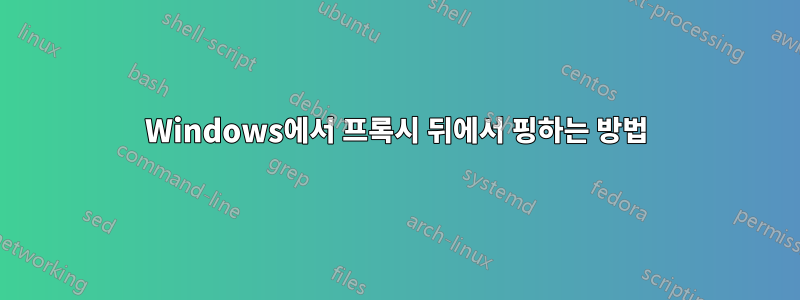Windows에서 프록시 뒤에서 핑하는 방법