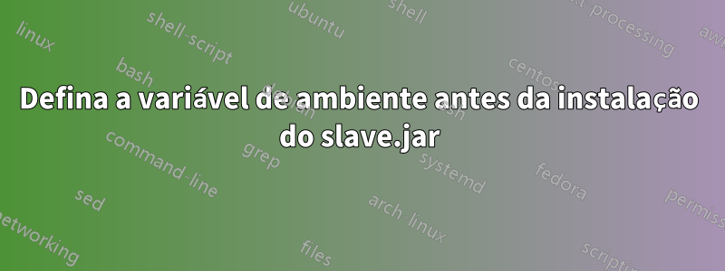 Defina a variável de ambiente antes da instalação do slave.jar
