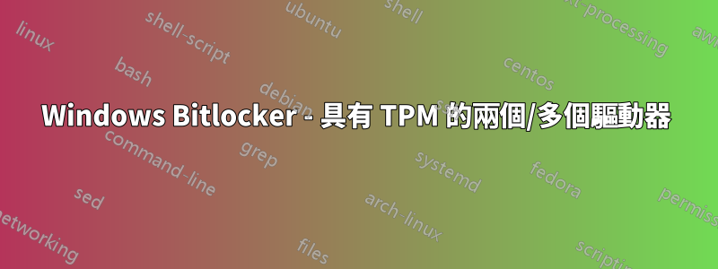 Windows Bitlocker - 具有 TPM 的兩個/多個驅動器