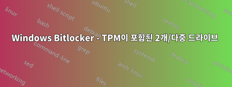 Windows Bitlocker - TPM이 포함된 2개/다중 드라이브