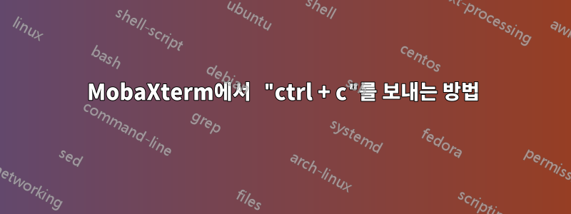 MobaXterm에서 "ctrl + c"를 보내는 방법