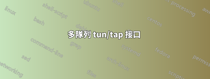 多隊列 tun/tap 接口