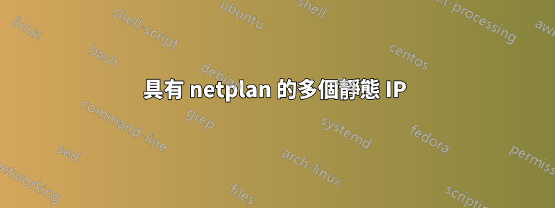 具有 netplan 的多個靜態 IP