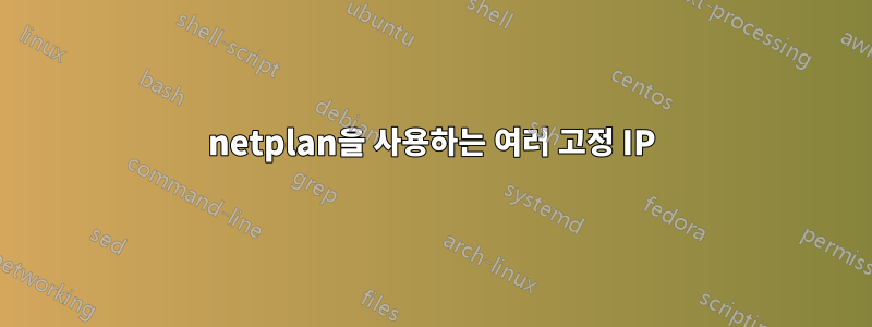 netplan을 사용하는 여러 고정 IP