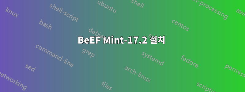 BeEF Mint-17.2 설치