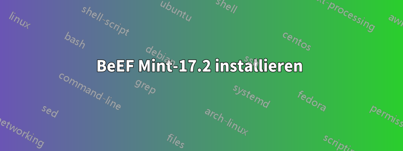 BeEF Mint-17.2 installieren